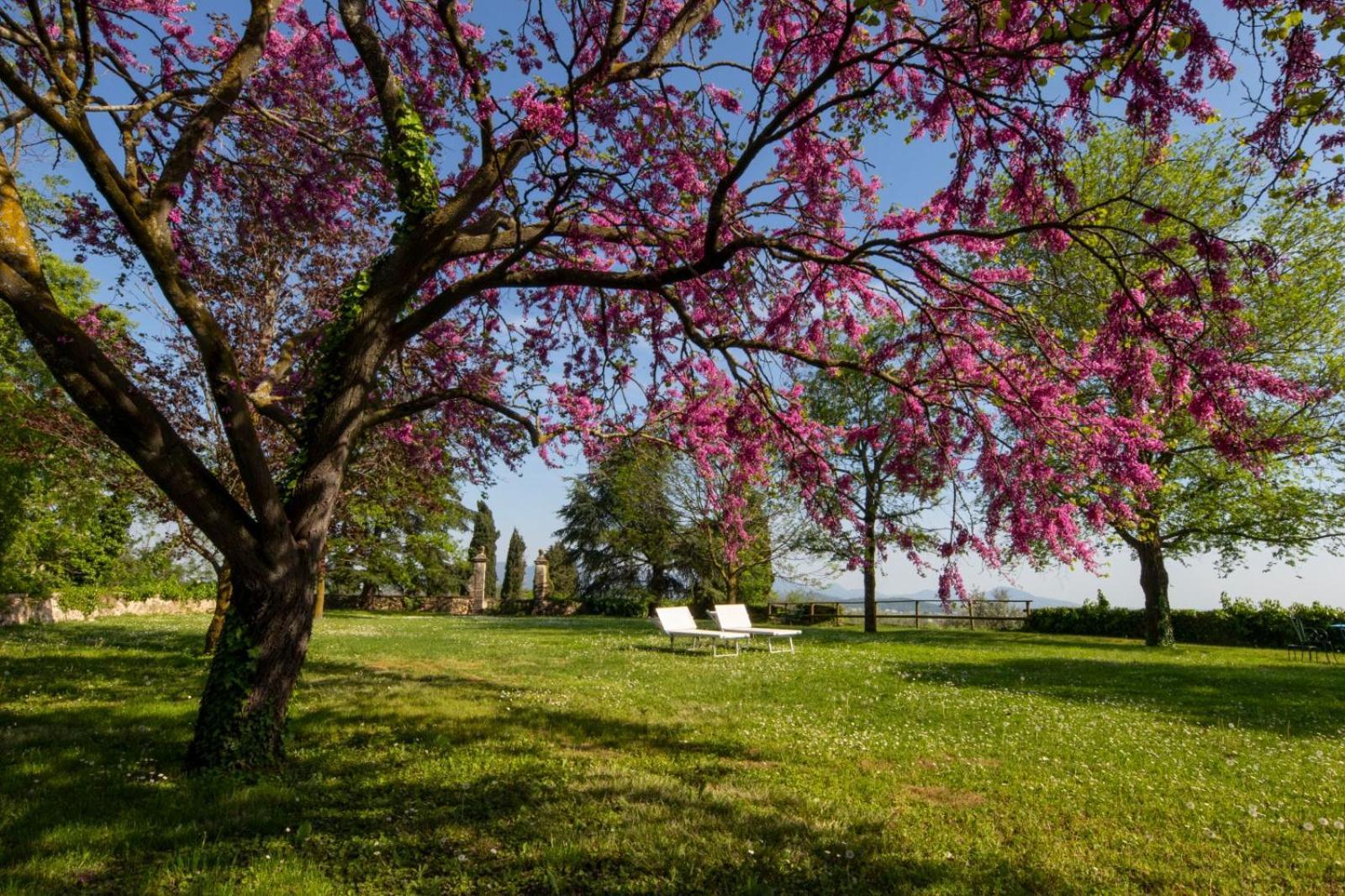 Il Castello Villa Barbarano Vicentino Dış mekan fotoğraf